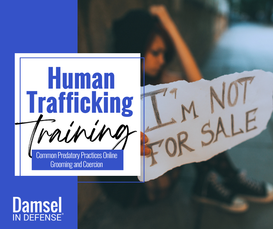 Safety Sessions Damsel Catalog